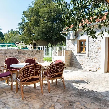 House Stone Curlew 1 * Lisane Tinjske