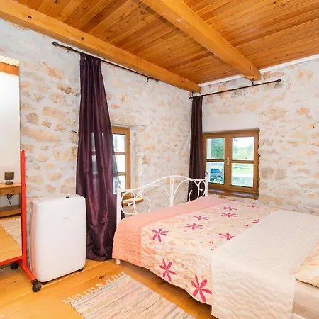 House Stone Curlew 1 *