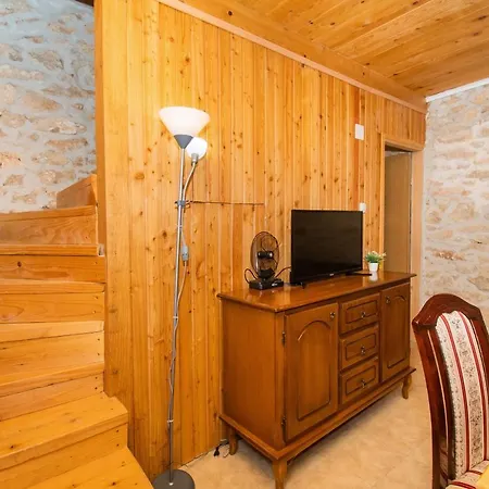 House Stone Curlew 1 *