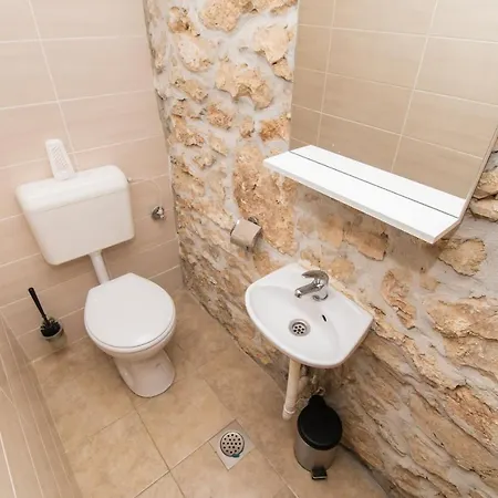 House Stone Curlew 1