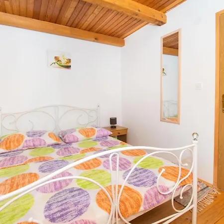 House Stone Curlew 1 *