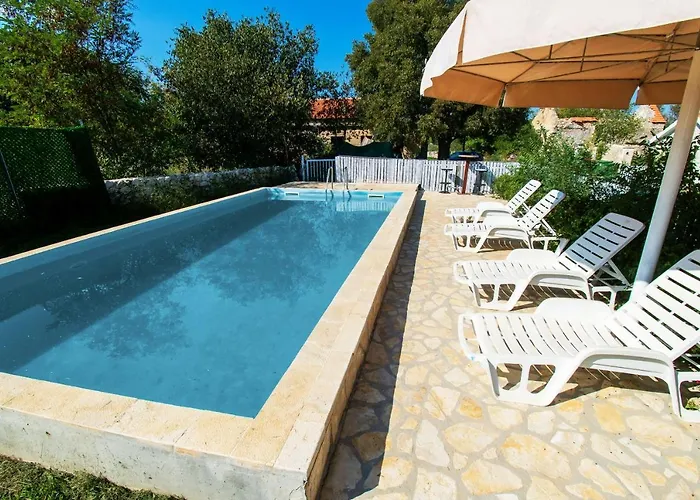 House Stone Curlew 1 * Lisane Tinjske