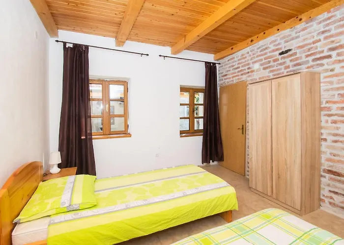 House Stone Curlew 1 Lisane Tinjske