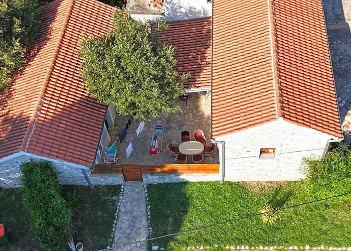 House Stone Curlew 1 Lisane Tinjske