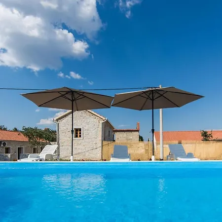 House Stone Curlew 1 *