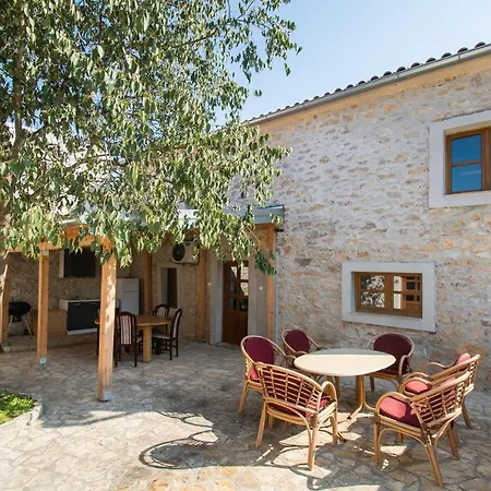 House Stone Curlew 1 * Lisane Tinjske