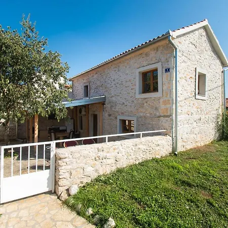 House Stone Curlew 1