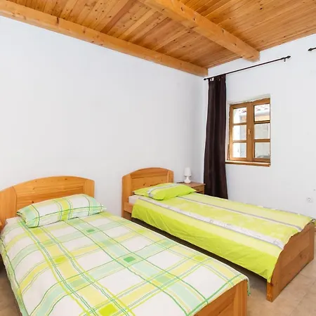 House Stone Curlew 1