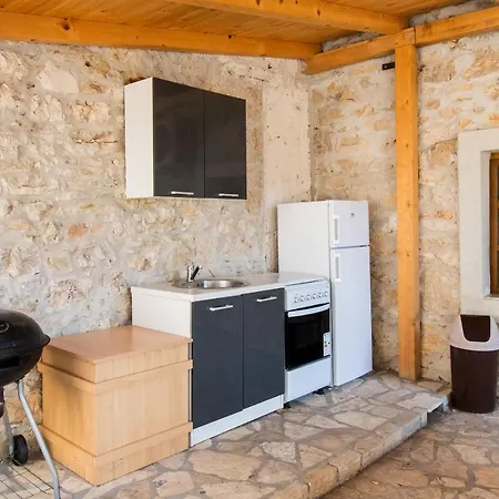 House Stone Curlew 1