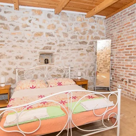 House Stone Curlew 1 *