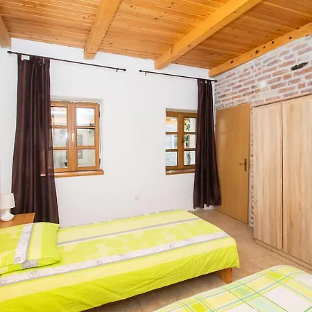 House Stone Curlew 1 Lisane Tinjske