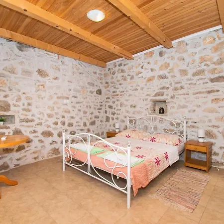 House Stone Curlew 1 *