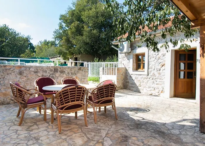 House Stone Curlew 1 * Lisane Tinjske