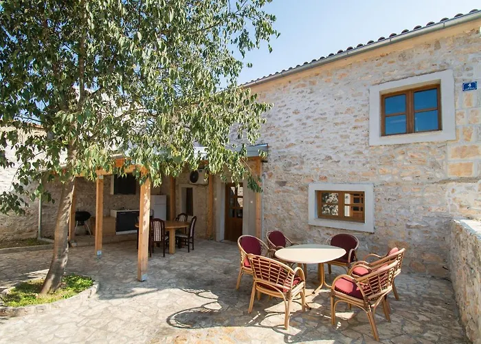 House Stone Curlew 1 * Lisane Tinjske