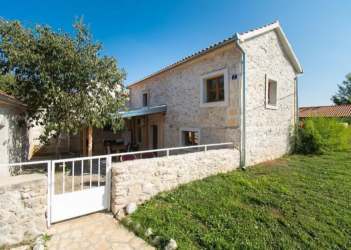 House Stone Curlew 1