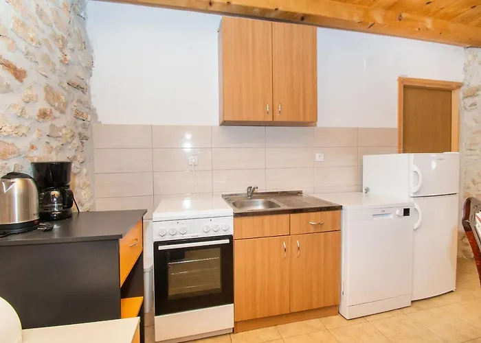 House Stone Curlew 1 *