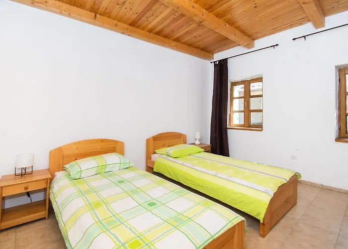 House Stone Curlew 1