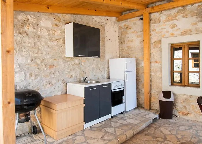 House Stone Curlew 1