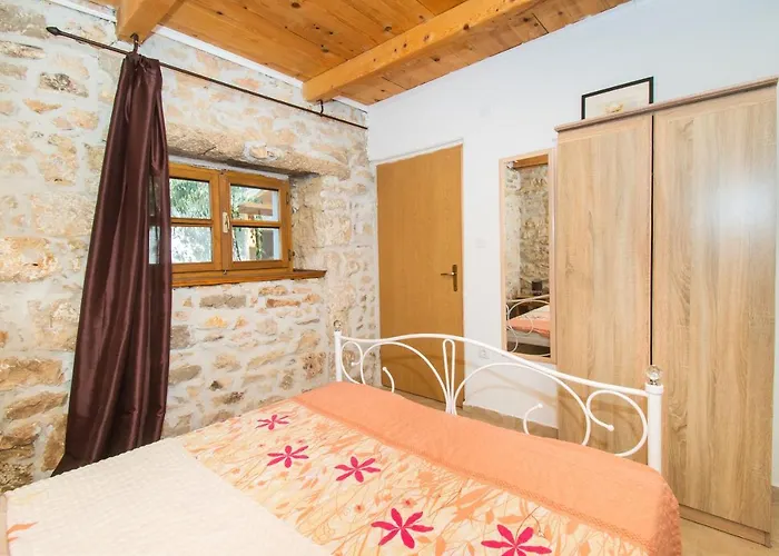 House Stone Curlew 1 Lisane Tinjske