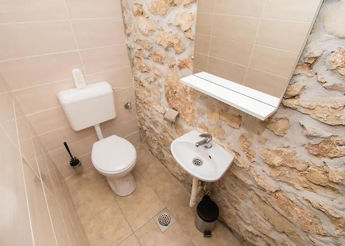 House Stone Curlew 1