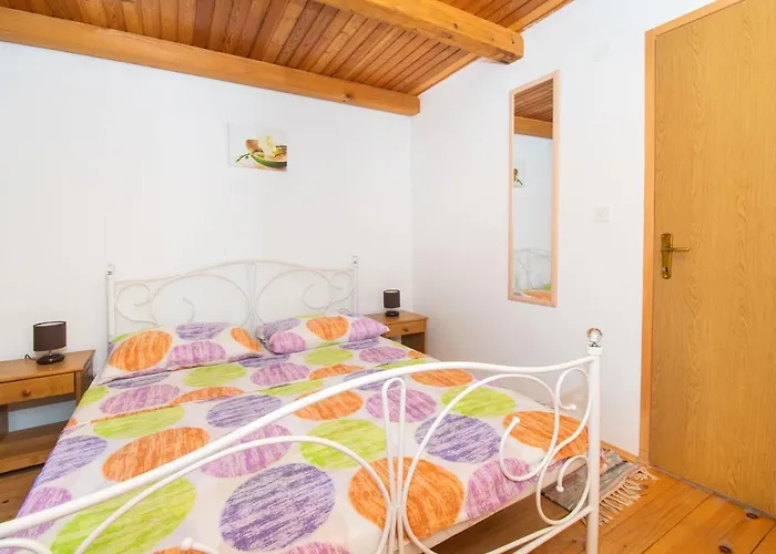 House Stone Curlew 1 *