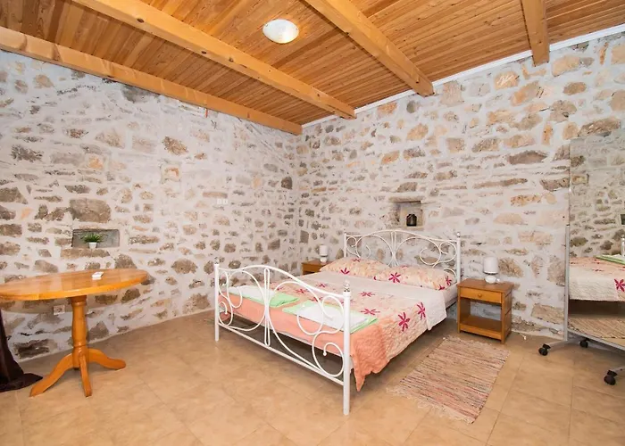 House Stone Curlew 1 *